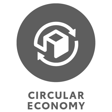 Circular Economy Icon